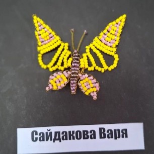 Моя первая бабочка