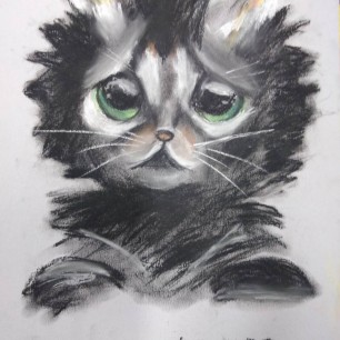 Грустный котик