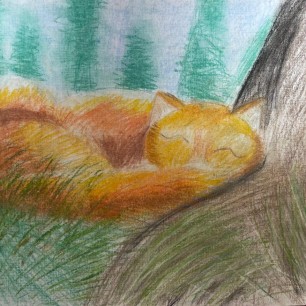 "Лисичка спит"