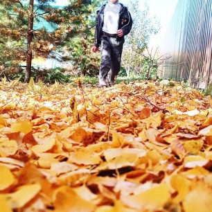 Осень, осень...