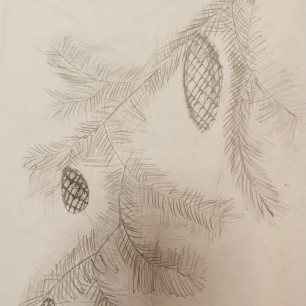 Еловая веточка