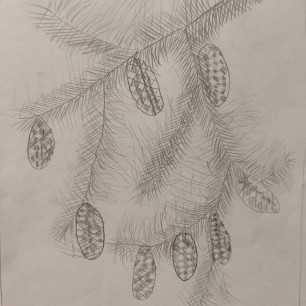 Еловая веточка