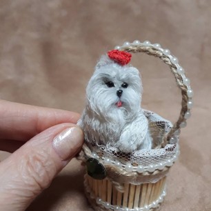 "Мое творчество"