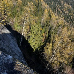 Осенняя палитра чудесного леса