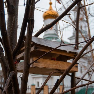 "С заботой о пернатых"
