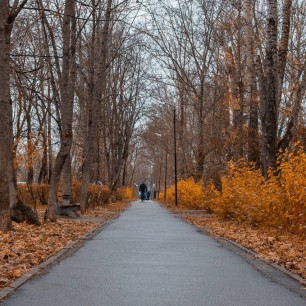 "Осенняя аллея"