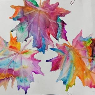 Кленовые листочки