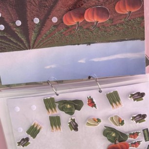 Дидактическое пособие «Книга природы»