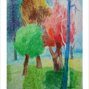 Деревья  осенью