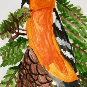 Христова птица - клёст