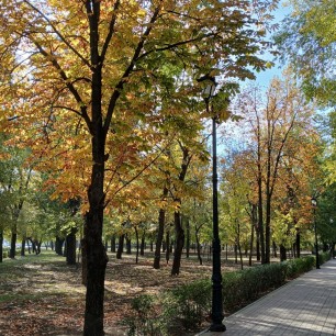 Осень в парке