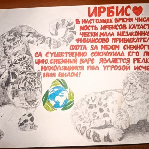 Спасите ирбисов!