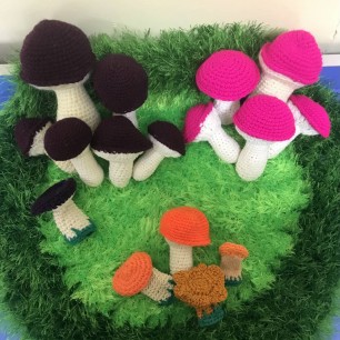 Грибное царство