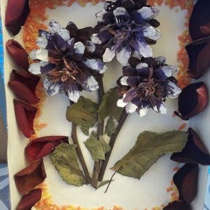 Панно "Осенние цветы"