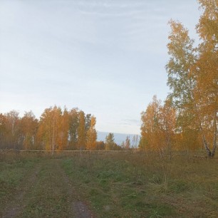 Дорога в осенний лес