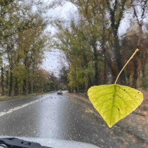 Осенние пейзажи