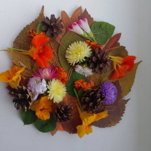 " Осенний сюрприз"