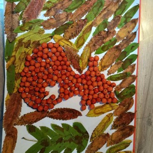 " Дракоша в осеннем лесу"