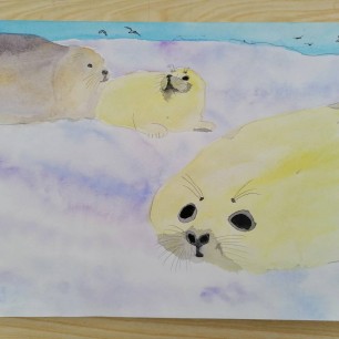 "Морские котики"