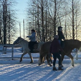 Зимние прогулки в Подмосковье