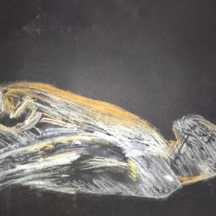 Кошка ночью