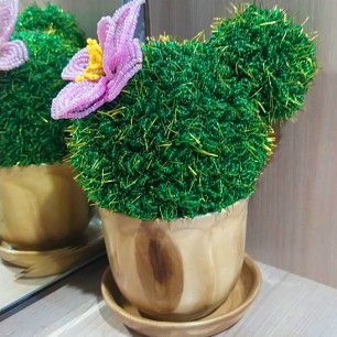 Кактус