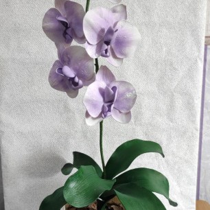 Цветы для мамочки