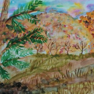 "Уссурийская тайга"