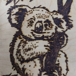 "Коало"