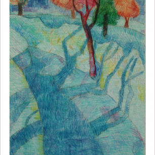 Тени  на  снегу