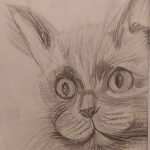 Смышленый кот