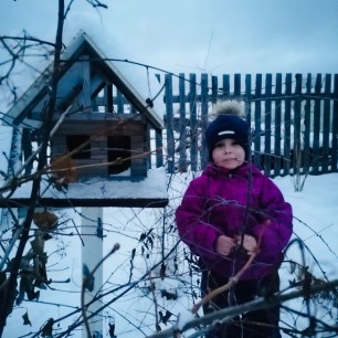 "Столовая для пернатых"