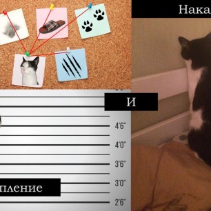 «Преступление и наказание»