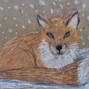 Лисичка зимой