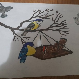 "Поможем птицам зимой"