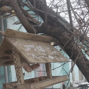 "Хлебное место."