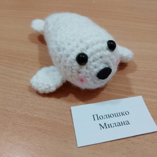 Малыш-тюлень