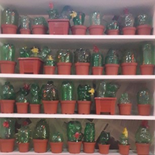 "Любители кактусов"