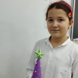 "Новогодняя красавица"