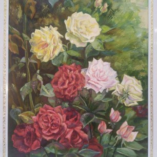 Красно- белые розы