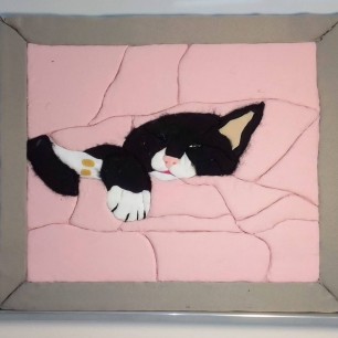 "Пушистый котик"