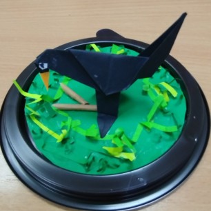 Дрозд. Проект "Из жизни птиц"