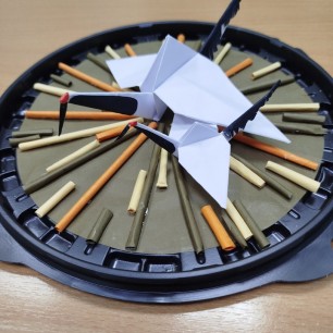 Журавли. Проект "Из жизни птиц".