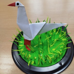 Аист. Проект "Из жизни птиц"