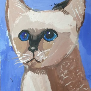 Котик Тайсон