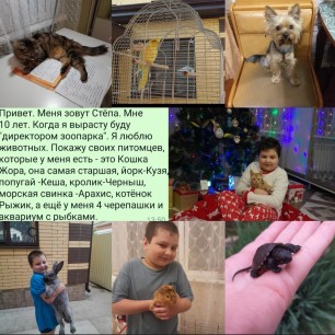 Домашний зоопарк
