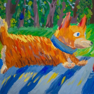 "Мой любимый корги"