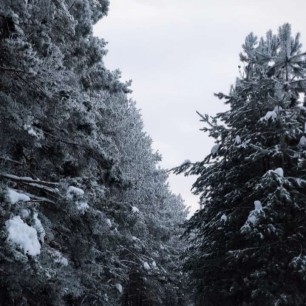 Фото на зимнюю тематику