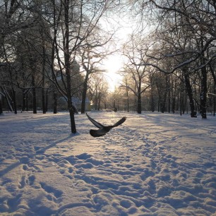 Прекрасное рядом