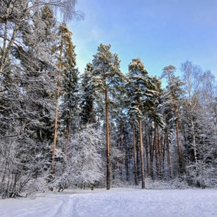 "Зимняя сказка"